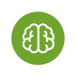 Cerveau